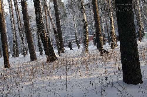 IMG_4547_r